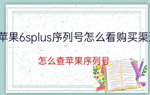 苹果6splus序列号怎么看购买渠道 怎么查苹果序列号？